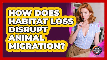 How Does Habitat Loss Disrupt Animal Migration? - The Everyday Why