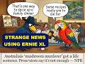 Today's STRANGE/FUNNY News 04/23 MADE USING ERNIE TURBO – #AI #funny