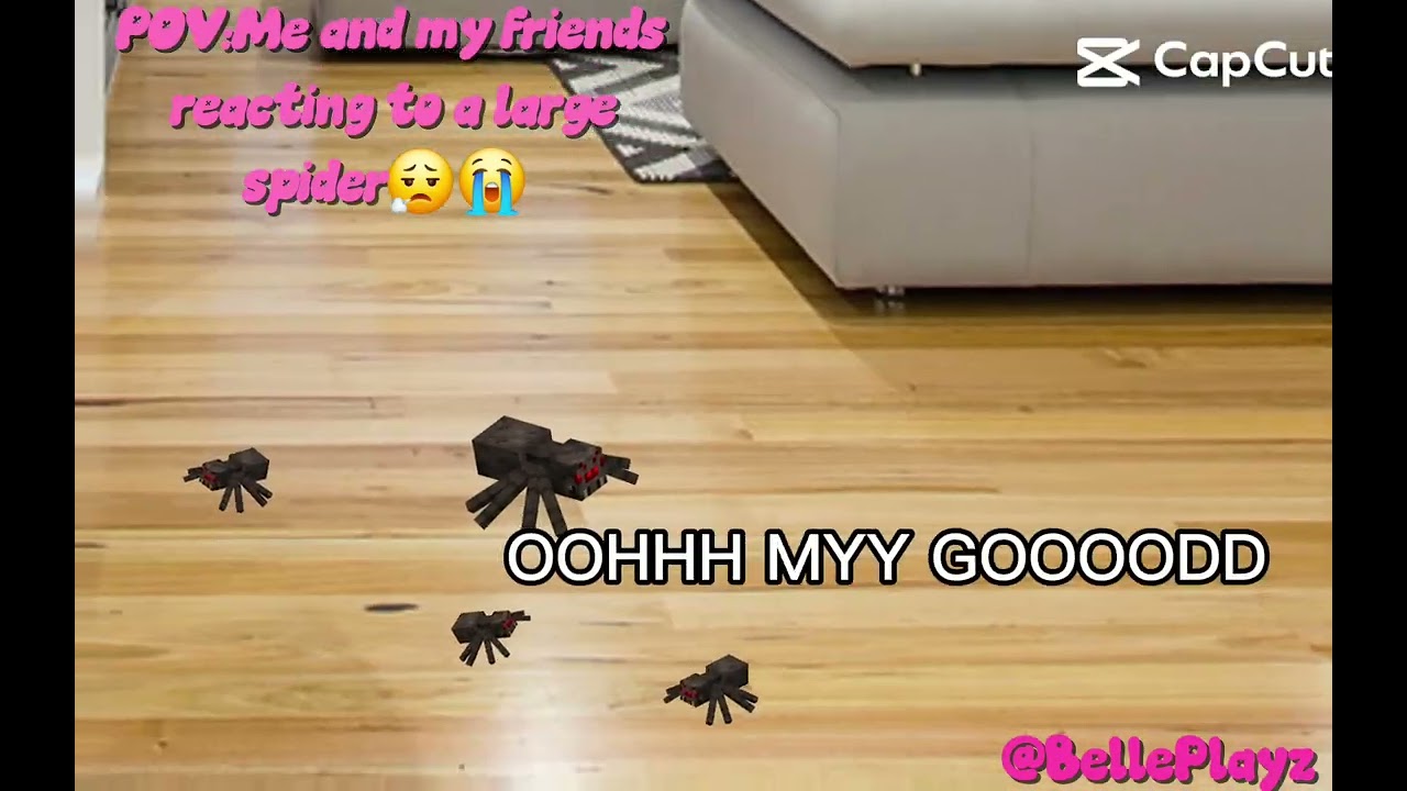 Spiders😬
