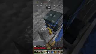 Son💔                  #minecraft #hardcoregaming #minecraftharcore #bruhmoment