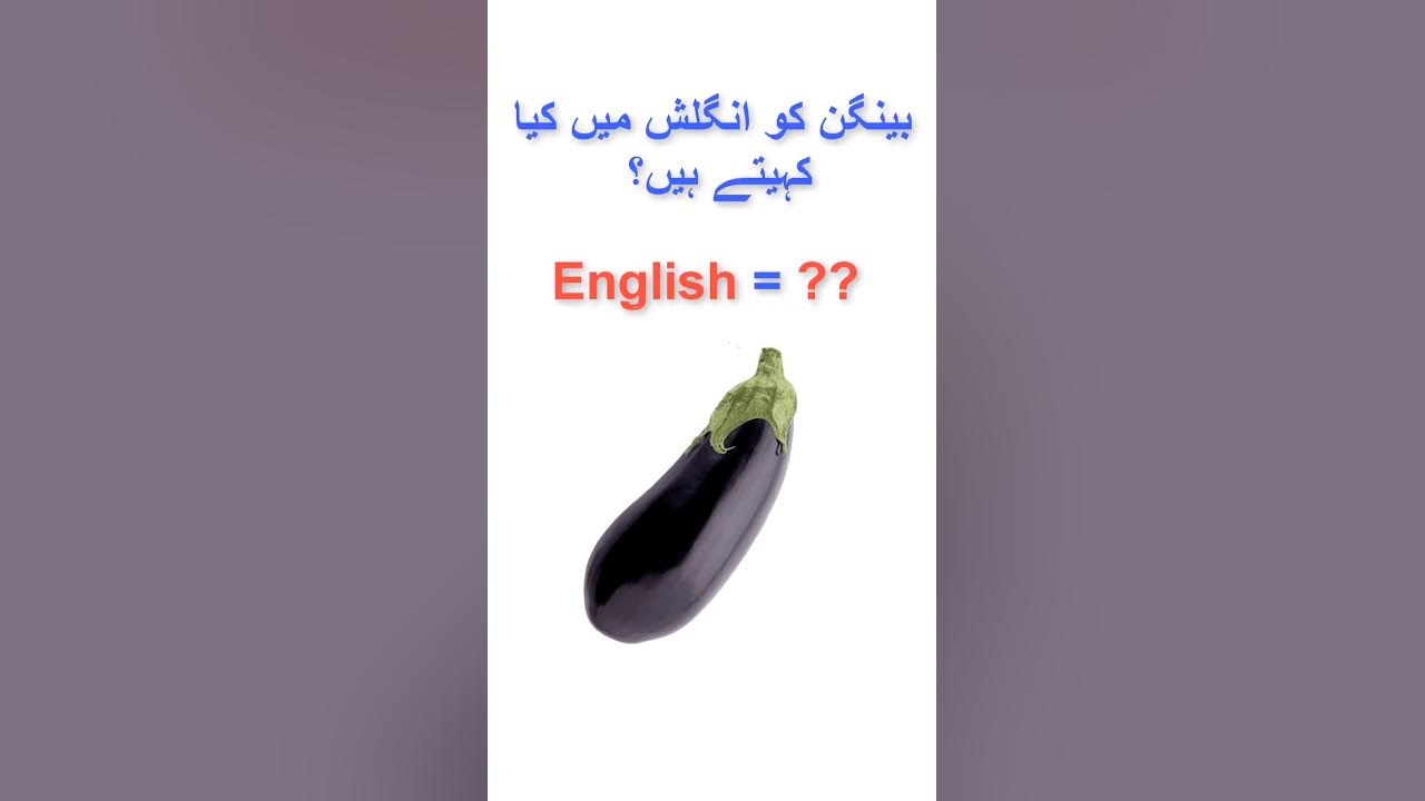Eggplant 🍆 translation 😱 shorts ytshorts YouTube
