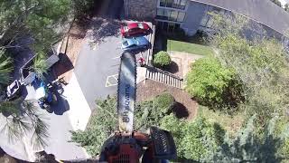 Commercial Job Leaning Pine Tree Removal with Tractor and a Heavy Duty Dump Trailer - Part 2- (2019)