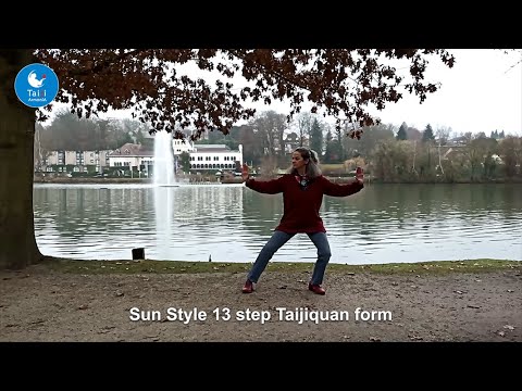 Sun style Tai Chi 13 step Taijiquan translated in Chinese, English, French and Spanish