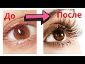 Как отрастить ДЛИННЫЕ РЕСНИЦЫ? Как я ОТРАСТИЛА длинные ресницы?