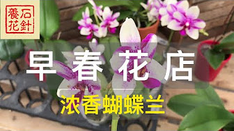 花店 也是永远盛开的小花园