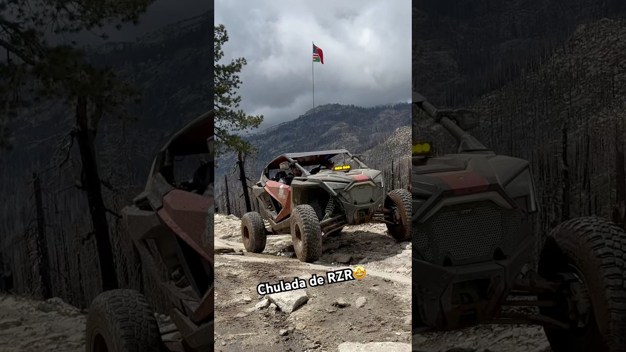 Puro RZR🤩 