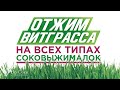 Отжим витграсса на всех типах шнековых соковыжималок