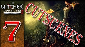 The Witcher 2: Assassins of Kings Cutscenes (ENDING) | Part 7