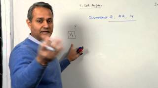 Immunology Lecture 9 (T cell receptors and Immunoglobulins) 3/4