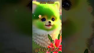 Wish Diler Kharkiya Song Cute Cat