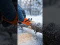 A small wood chipper that cuts through tree branches #WoodCuttingMachine #WoodworkingTools #duet