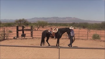 From the Archives - Preparing for the First Ride