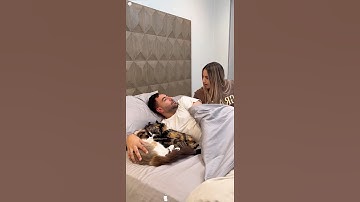 My cat stole my man🤣❤️😽 #funny #cat #funnyanimal #funnycat #pets #funnycute