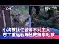 【不能讓狗狗苦等主人死去，冒險進戰區救毛孩】