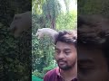 humne Dil lagaya vahan