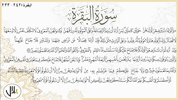 المصحف المرتل - سورة البقرة من الآية : 233-242