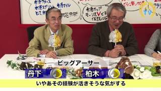 【香港国際競走2016予想】香港4レースで日本馬全頭に「フダ上げ」します！