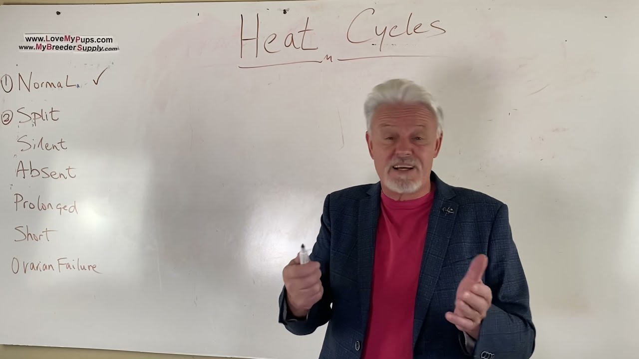 Dog Split heats Part 2/5