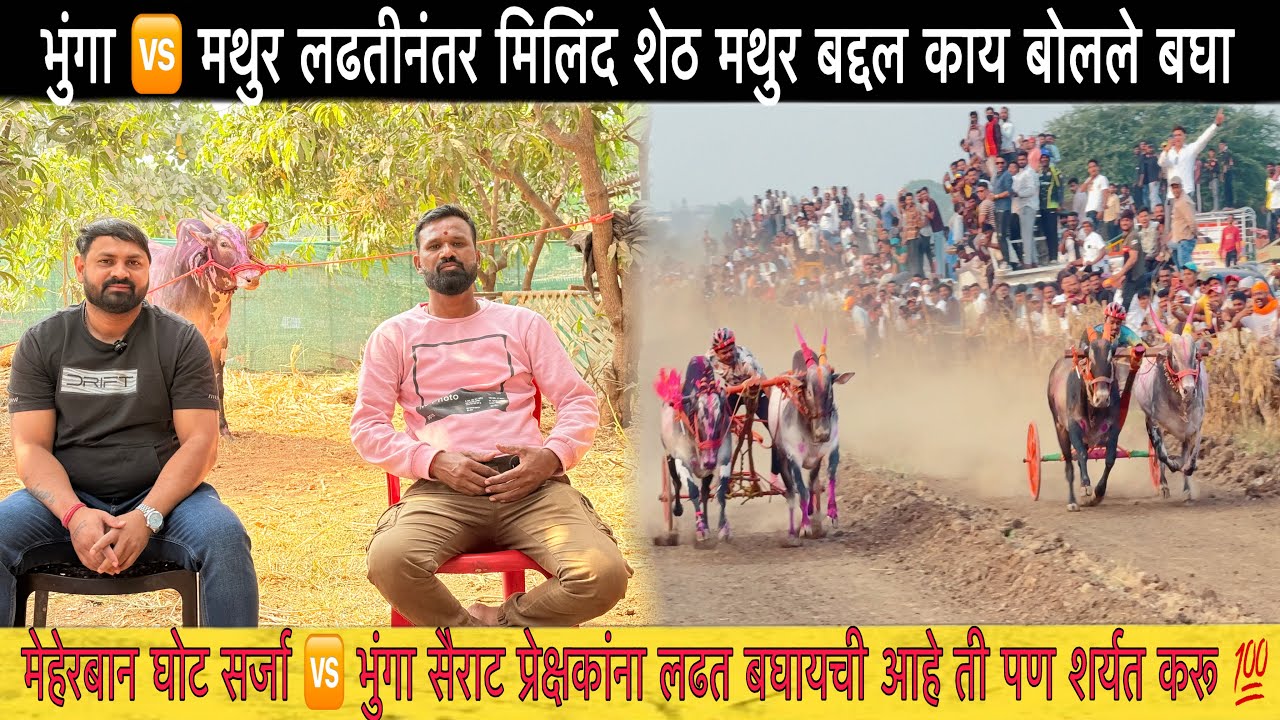 मथुर 🆚 भुंगा लढती नंतर मिलिंद शेठ रोखठोक मुलाखत 💯 मथुर भुंगा सोबत येऊन शर्यत का झाली? आणि बरच काही 