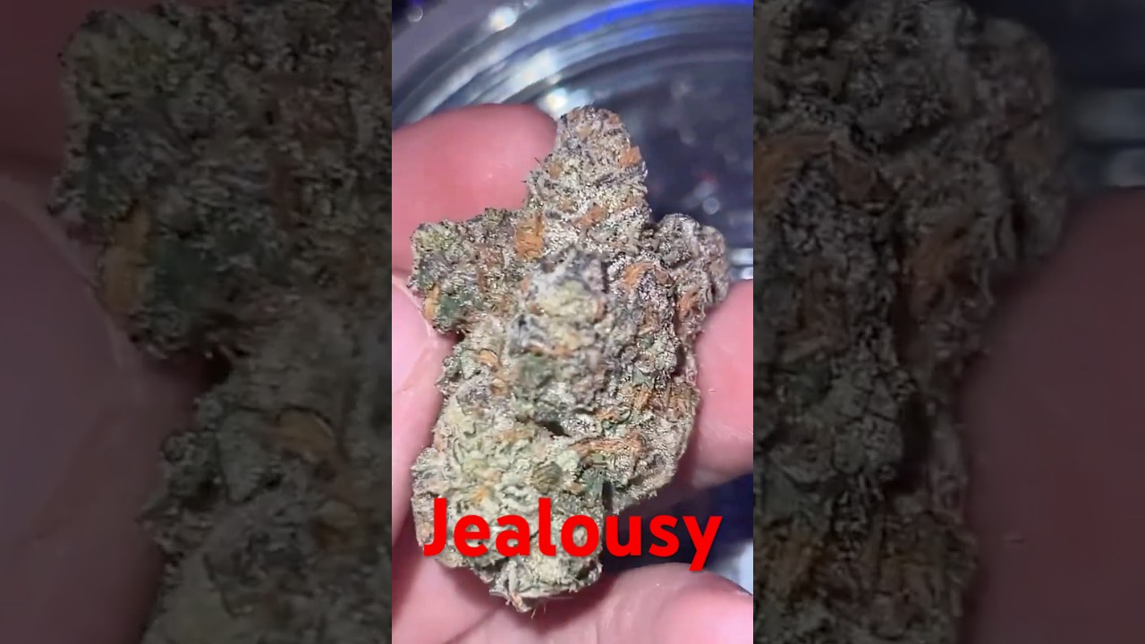 Jealousy strain review