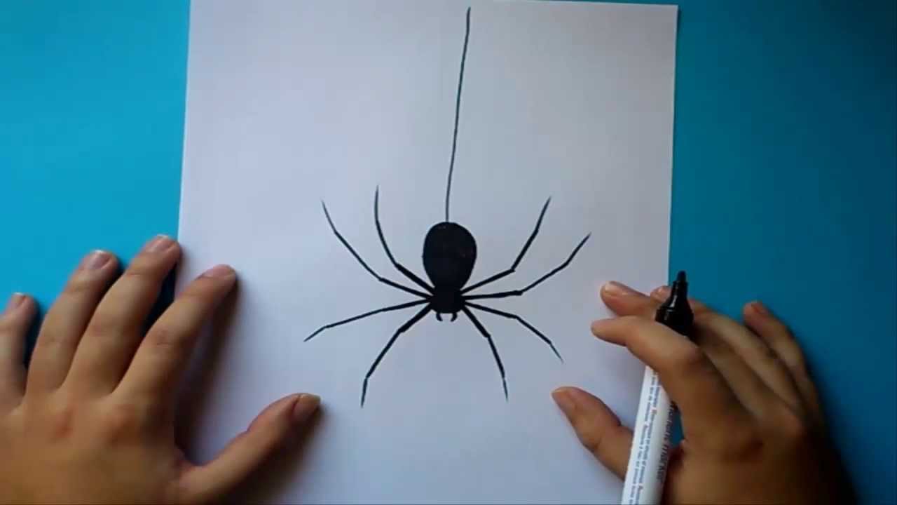 Como dibujar una araña