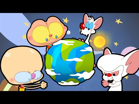 Mongo e Drongo e Pinky e Crebro querem dominar o Mundo. Pinky e Crebro em Desenho animado.