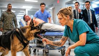 K9 Blocked Every Doctor—Until a Night Nurse's Bracelet Revealed Her Hidden Military Bond