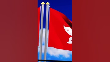 Learn export import from scratch.