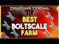 Dragons Dogma 2 How To get Boltscales - Best Boltscale Location