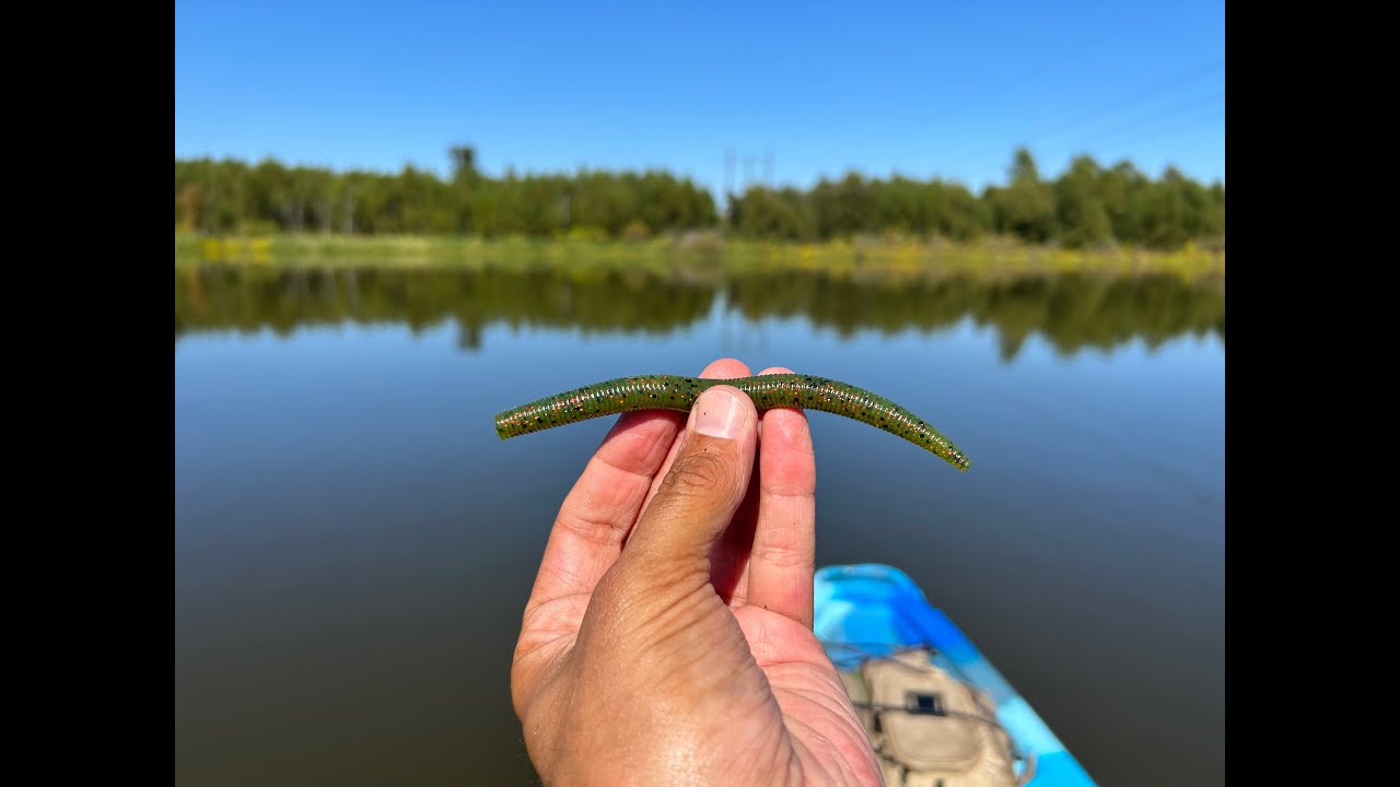Yum Dinger Bass Fishing.