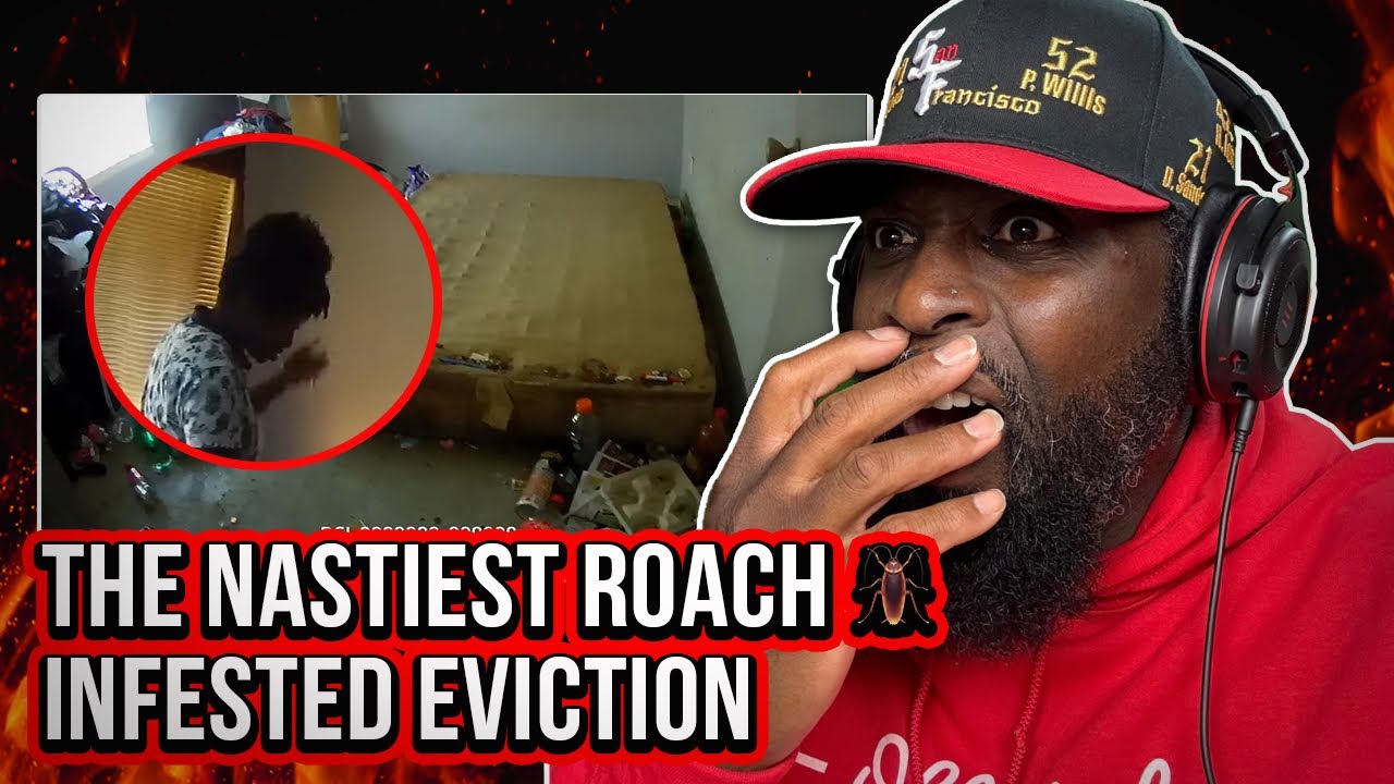 The Eviction Process: The Nastiest Roach Infested Eviction Ever