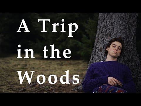 A Trip in the Woods
