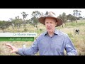 Enhancing farm dams for drought resilience productivity and biodiversity across the act