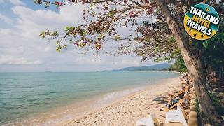 Chill Inn Lipa Noi Hostel and Beach Cafe | Koh Samui, Thailand | Hotel Review 🛏️