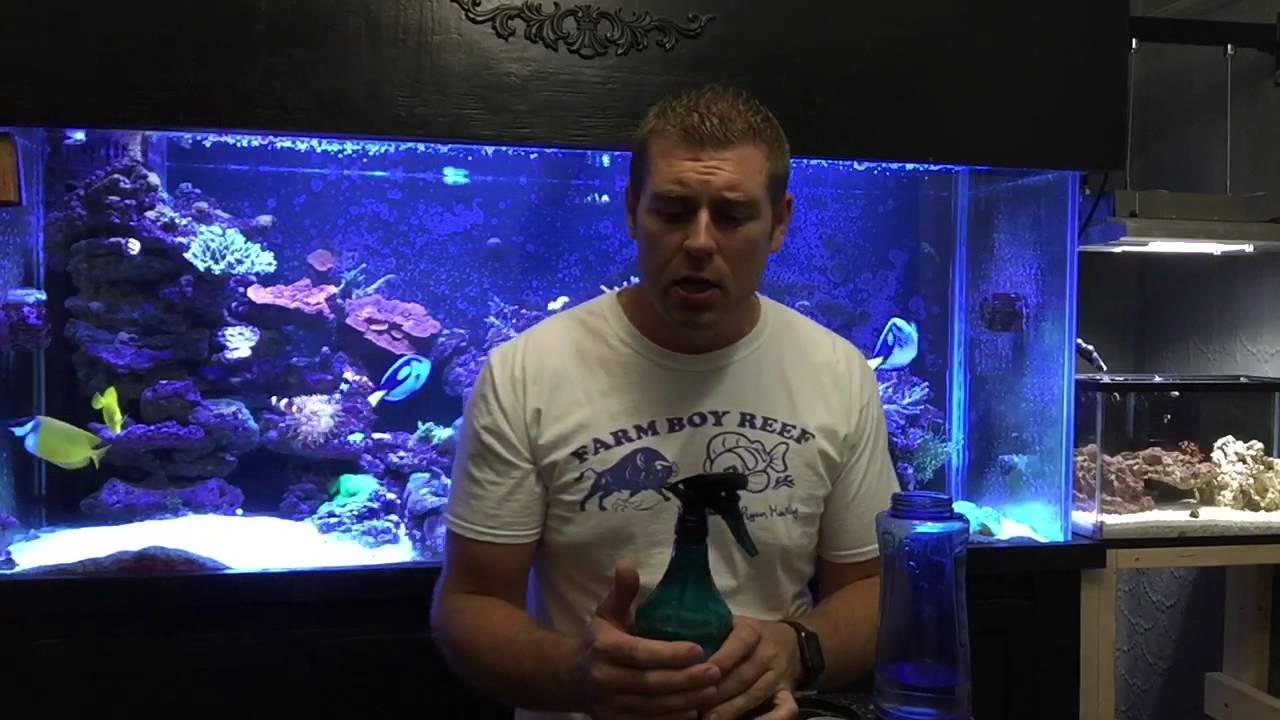 Aquarium Glass Cleaner Home Made YouTube