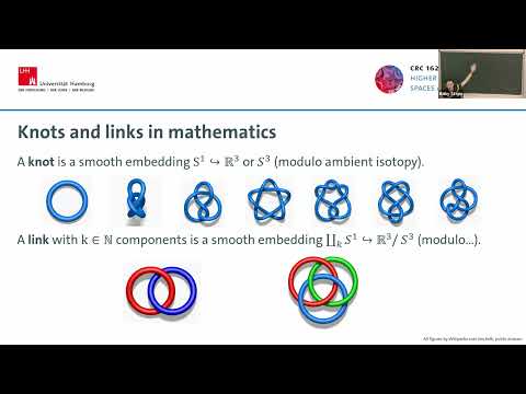 Knots and categories