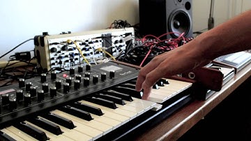 DT hardware relaxomatic- Tempest, Minitaur, Make Noise, Microbrute, Prophet 