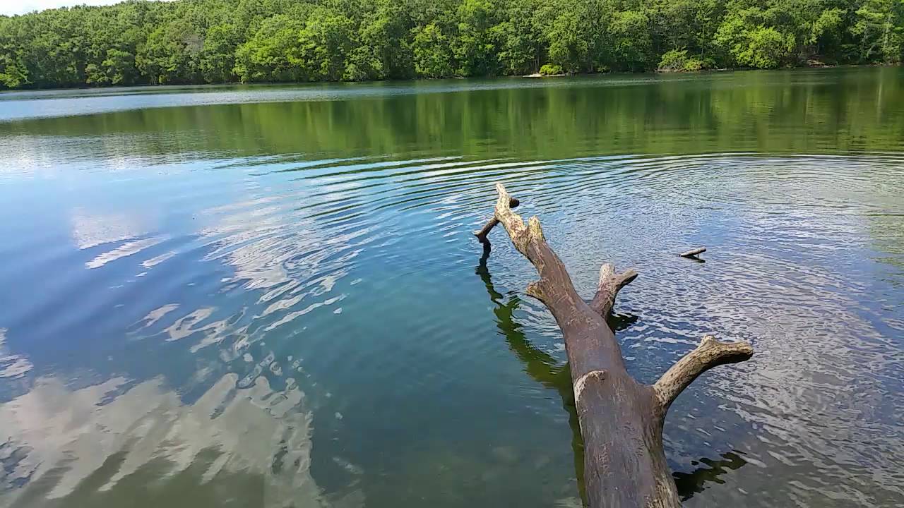 Wauregan Reservoir Danielson,Connecticut Swim YouTube