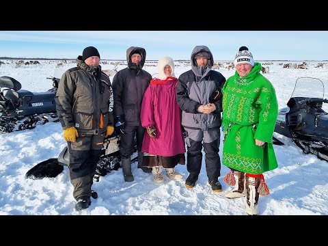 Видео: Село Петрунь. Едем к стаду оленей | Изьватас олэм