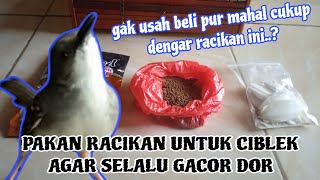 SPECIAL BLEND FEED FOR CIBLEK BIRDS TO KEEP THEM SINGING LOUD AND PROUD...