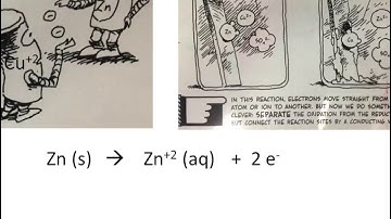 # 10 Spontaneous vs Nonspontaneous Rxn