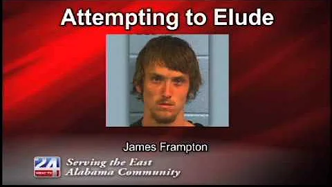 Attempting to Elude: James Frampton