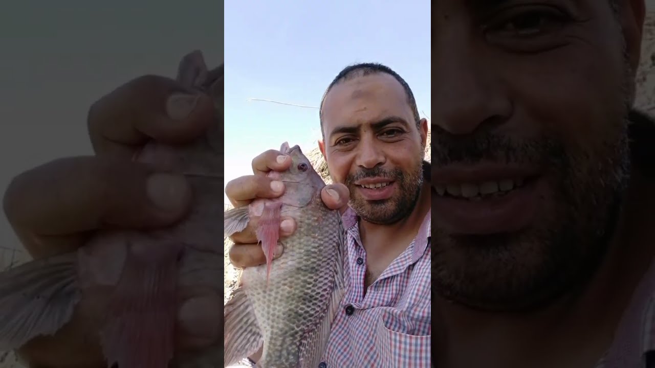 كواليس لاصول الصيد في صرف المزارع