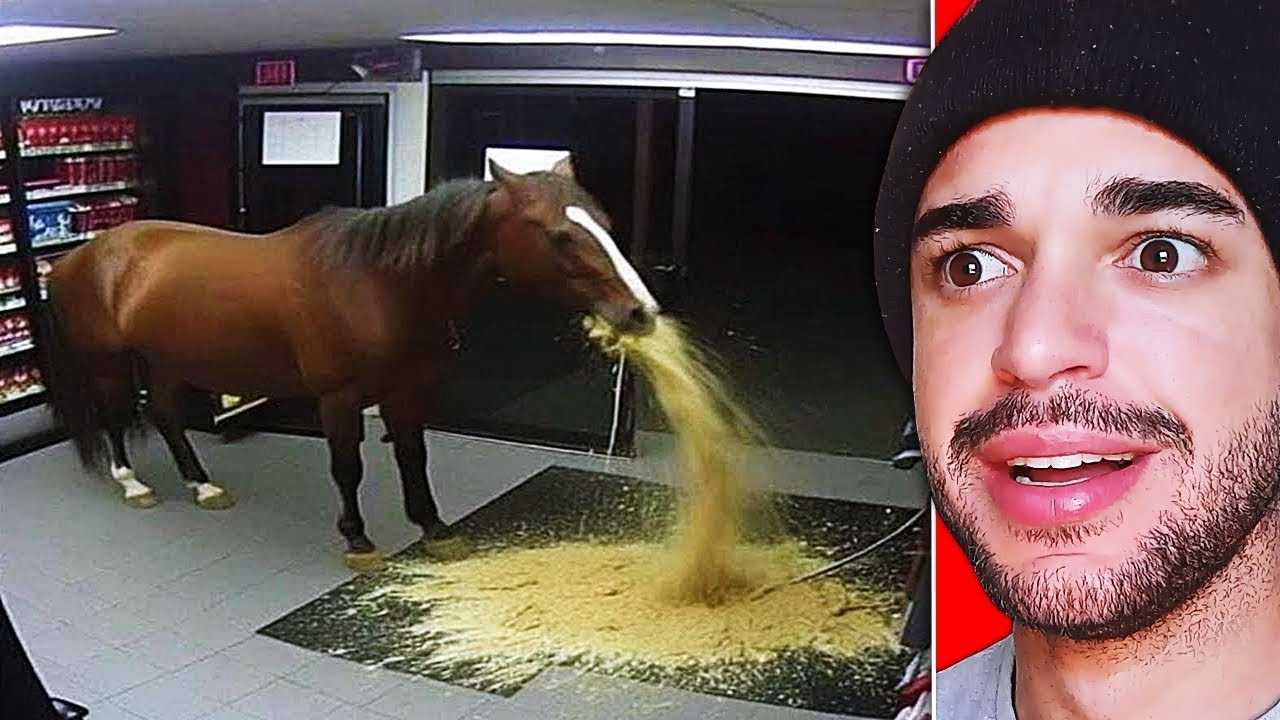 Memes Absurdos Que Encontrei Na Internet 😃➡️😳