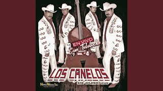 Video thumbnail of "Los Canelos de Durango - Paco Nunez (En Vivo Con Tololoche)"