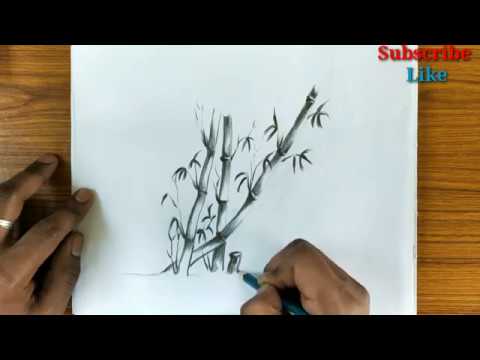 Featured image of post Bamboo Tree Drawing For Kids Drawing panting for kids bamboo tree drawing for kids step by step bamboo tree drawing in this video we show how to draw chinese bamboo and bird painting in a simple and very easy way