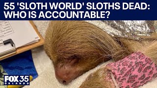 'Sloth World' deaths not reported? Florida officials, wildlife conservationists seek accountability
