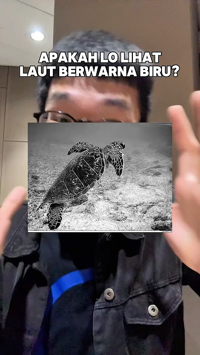 ILUSI OPTIK KEREN! LIHAT AIR LAUT BERWARNA BIRU KAN? KOMEN!