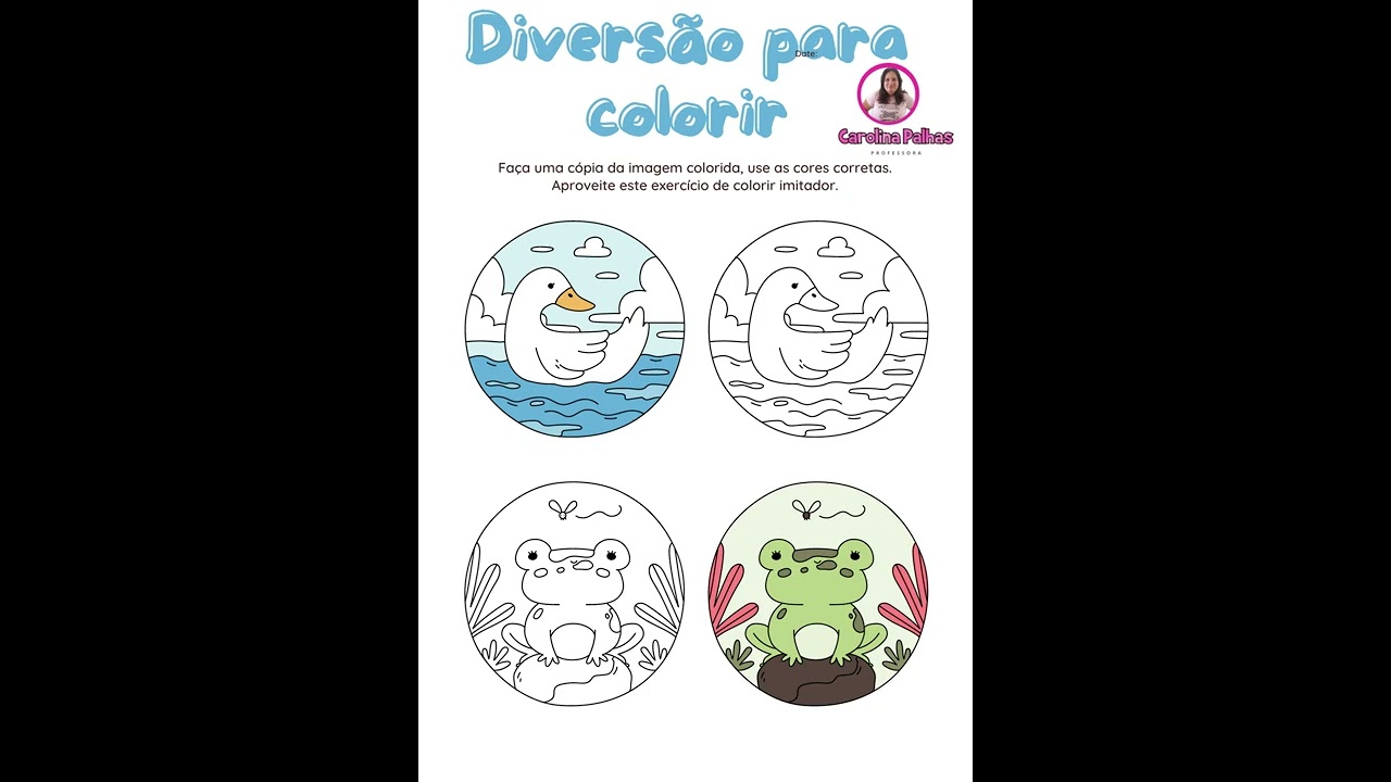 Livro de colorir animais que voam - Professora Carolina Palhas