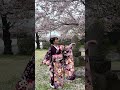 桜の木の下で"桜縁歌"歌ってみた🌸